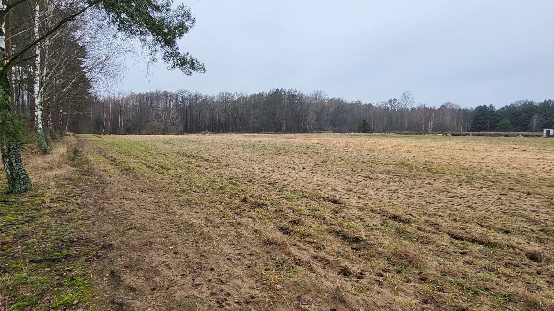 Działka na sprzedaż